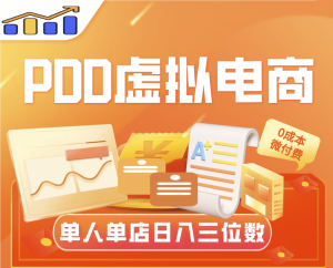 【PDD虚拟电商】-大周分享站